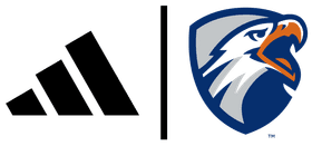 The University of Texas at Tyler banner logo